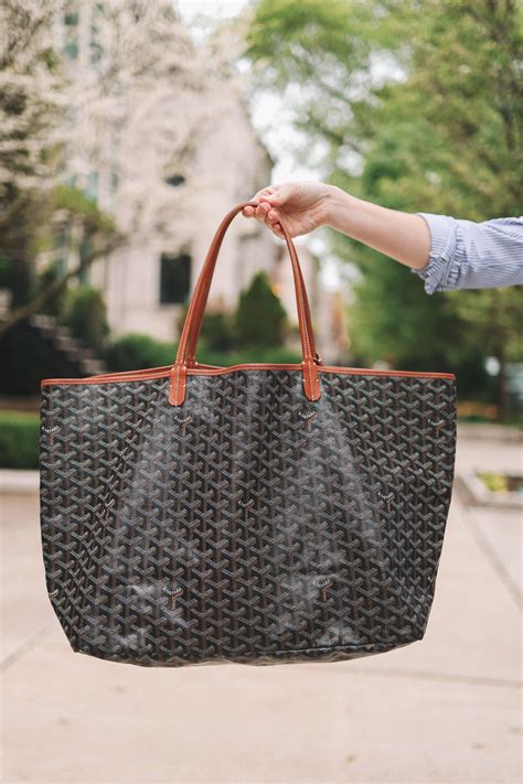 goyard louis vuitton|goyard st louis.